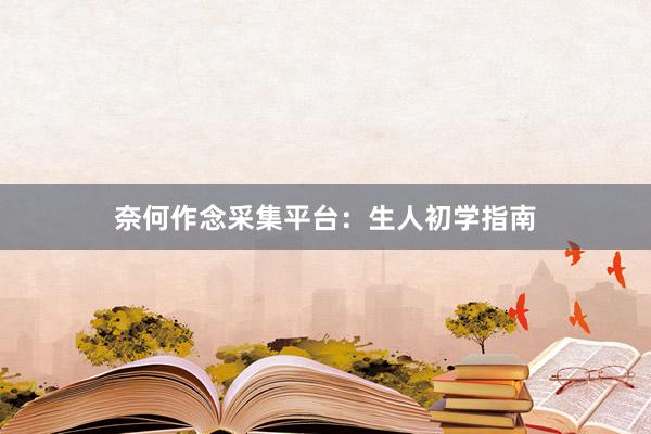 奈何作念采集平台：生人初学指南