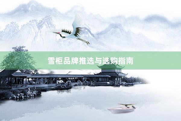 雪柜品牌推选与选购指南