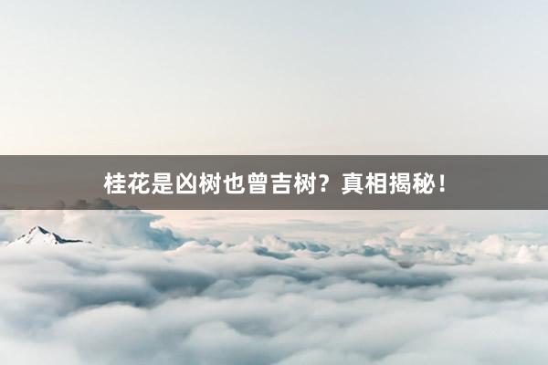 桂花是凶树也曾吉树？真相揭秘！