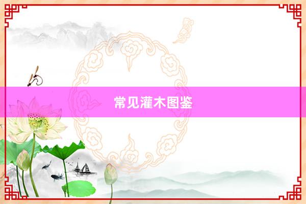 常见灌木图鉴