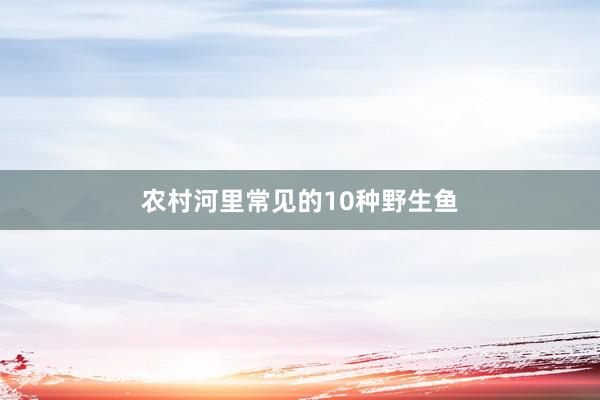 农村河里常见的10种野生鱼